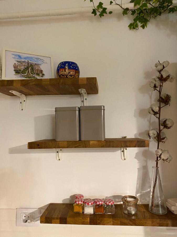 Helga'S Place Premium 1 Bedroom Condo Cluj-Napoca Eksteriør billede